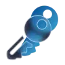 Key icon
